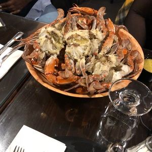 Meet your Posher, Lynette